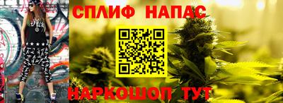 Альфа ПВП Шебекино