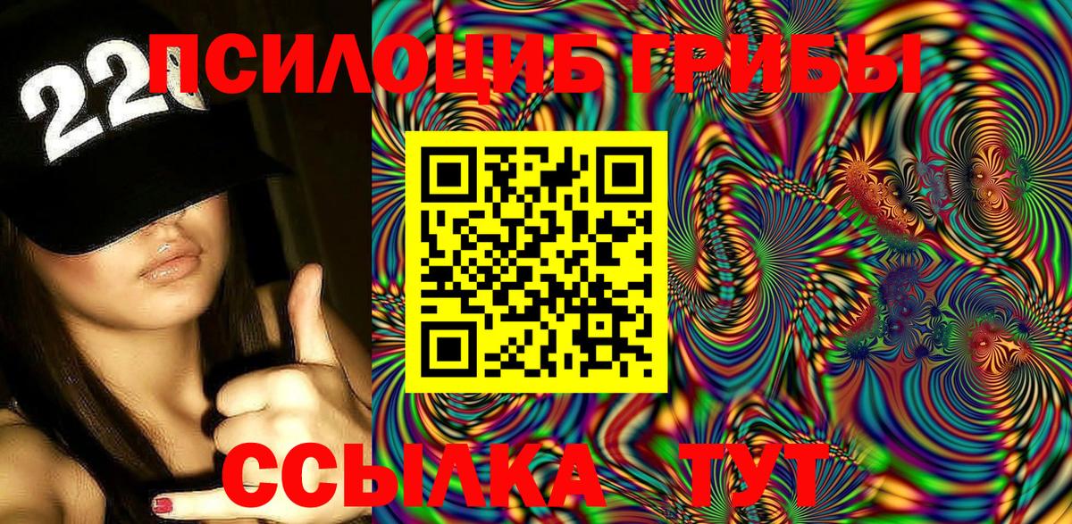 что такое   Вход с VPN  Мурманск  Галлюциногенные грибы мухоморы 