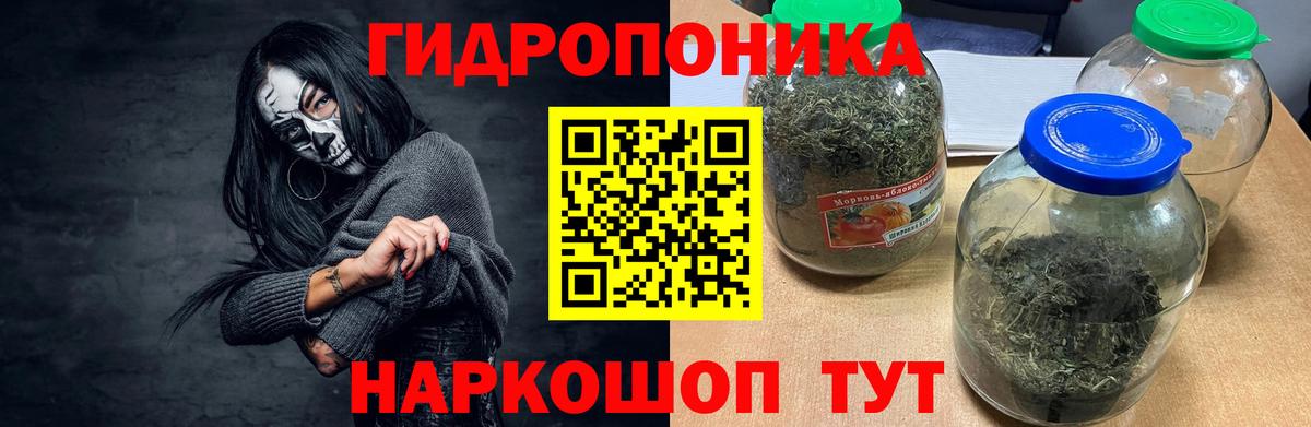 Мурманск  Бошки марихуана планчик  Конопля VHQ  МАРИХУАНА SATIVA & INDICA  Вход с VPN 